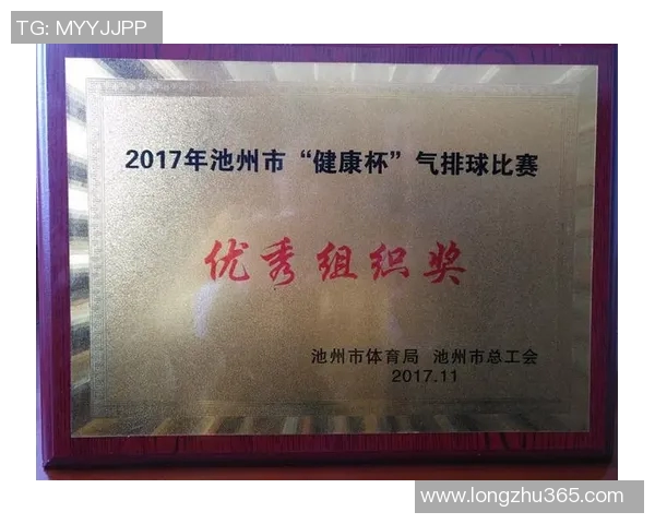 重庆排球队的精神风貌与发展历程探讨