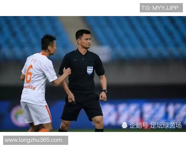 武汉乒乓球队的崛起之路揭秘与力量探讨